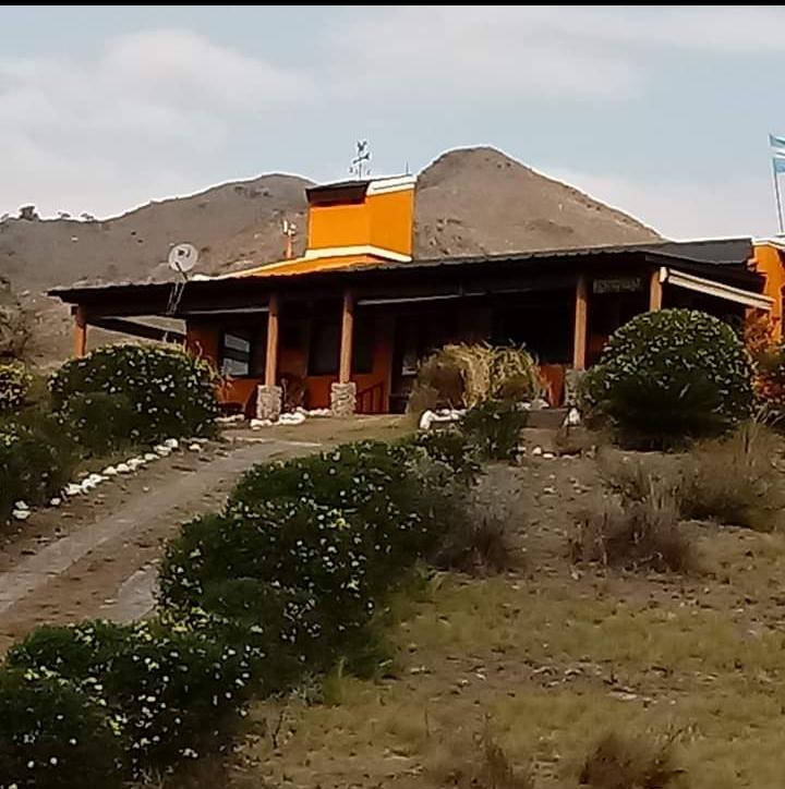 WhatsApp Image 2020-12-18 at 18.42.09